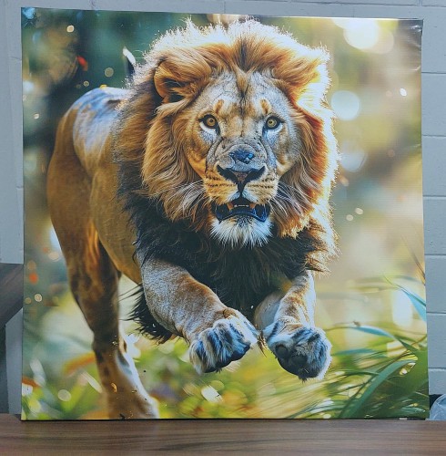 PLACA DE MOLDURA DE MADEIRA REVESTIDA EM LONA 280G